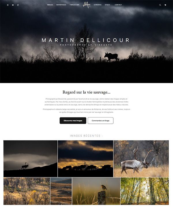Przykłady witryn internetowych z portfolio Martina Dellicour