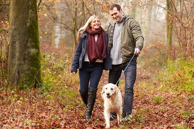 Heureux couple marchant avec un chien